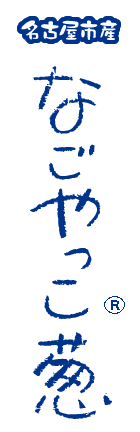 名古屋市産 なごやっこ葱